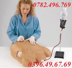 MÔ HÌNH CHỌC DÒ MÀNG TIM, MÀNG PHỔI LF03769 NASCO