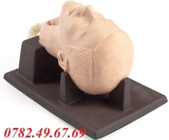 MÔ HÌNH THỰC HÀNH MỞ NỘI KHÍ QUẢN LAERDAL
