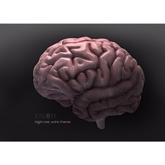MÔ HÌNH GIẢI PHẪU CƠ THỂ NGƯỜI NAM 3D