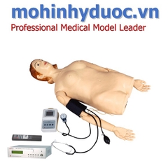 Mô hình nghe tim phổi, đo huyết áp, xem mạch điều khiển kỹ thuật số