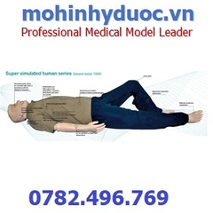 Mô hình người siêu mô phỏng GD10000
