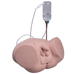 Mô Hình Thông Tiểu Nam Cơ Bản – 1020230 – 3B Scientific