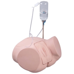 MÔ HÌNH THÔNG TIỂU NỮ 1020229 3B - ĐỨC