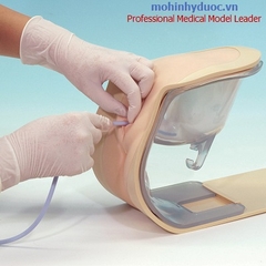 MÔ HÌNH THÔNG TIỂU NỮ (KÈM TÍNH NĂNG THỤT THÁO)	 KYOTO KAGAKU