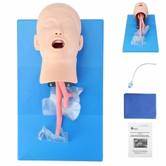 MÔ HÌNH THỰC HÀNH ĐẶT NỘI KHÍ QUẢN TRẺ EM