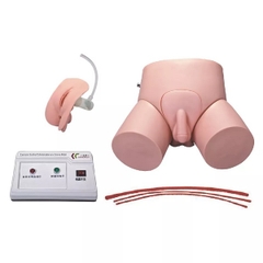 MÔ HÌNH THỰC HÀNH ĐẶT SONDE TIỂU