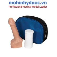 MÔ HÌNH THỰC HÀNH ĐEO BAO CAO SU NAM – 1000340 – 3B SCIENTIFIC