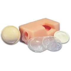 MÔ HÌNH THỰC HÀNH ĐEO BAO CAO SU NỮ – 1017935 – 3B SCIENTIFIC