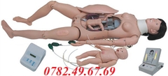 MÔ HÌNH THỰC HÀNH CHUYỂN DẠ VÀ ĐỠ ĐẺ GD/F55