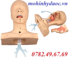 MÔ HÌNH THỰC HÀNH HÚT ĐỜM CHO BỆNH NHÂN