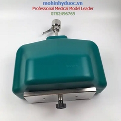 MÔ HÌNH THỰC HÀNH KHÁM RĂNG - NHA KHOA