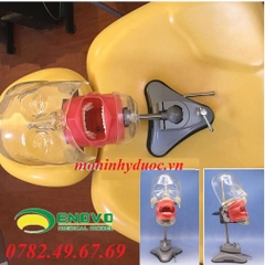 MÔ HÌNH THỰC HÀNH KHÁM RĂNG NHA KHOA