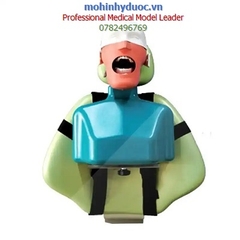 MÔ HÌNH THỰC HÀNH KHÁM RĂNG - NHA KHOA