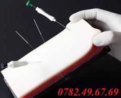 MÔ HÌNH THỰC TẬP KHÂU VẾT THƯƠNG