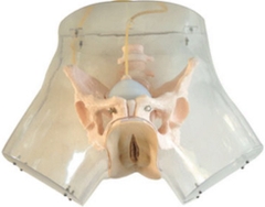 MÔ HÌNH THỰC HÀNH NẠO PHÁ THAI