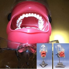 MÔ HÌNH THỰC HÀNH NHA KHOA PHANTOM