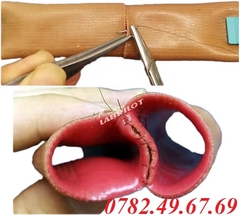MÔ HÌNH THỰC HÀNH NỐI ĐOẠN RUỘT
