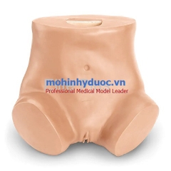 MÔ HÌNH THỰC HÀNH SOI CỔ TỬ CUNG SB28796 (L) NASCO - MỸ
