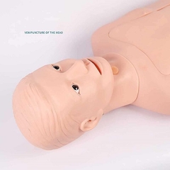 MÔ HÌNH THỰC TẬP MỞ KHÍ QUẢN, ĐẶT ỐNG NỘI KHÍ QUẢN, ĐẶT SONDE DẠ DÀY