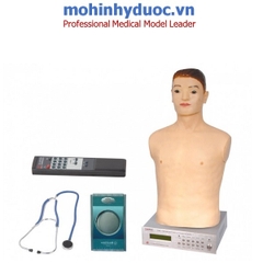 MÔ HÌNH THỰC TẬP NGHE TIM PHỔI NGƯỜI LỚN