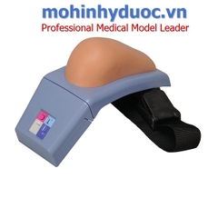 Bộ mô hình đào tạo tiêm bắp hoàn chỉnh