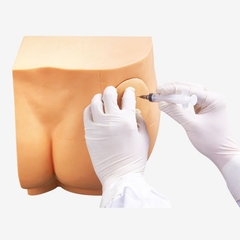 MÔ HÌNH TIÊM BẮP MÔNG GD/HS10D