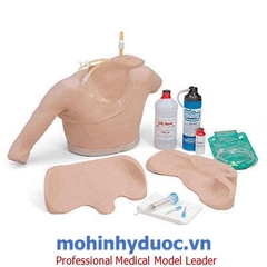 MÔ HÌNH TIÊM BẮP, TĨNH MẠCH CÁNH TAY (MÔ HÌNH TIÊM TĨNH MẠCH TRUNG TÂM) LF01012U - NASCO