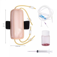 MÔ HÌNH THỰC HÀNH TIÊM TRUYỀN TĨNH MẠCH HH-TT-TM