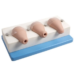 MÔ HÌNH TỬ CUNG ĐỂ THỰC HÀNH PHÁ THAI GD/FT33A