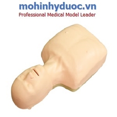 Mô phỏng hồi sức tim phổi đơn giản
