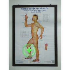 TRANH CHÂM HUYỆT VỊ CỨU HUYỆT VỊ 3 TỜ - KÍCH THƯỚC 50X70CM