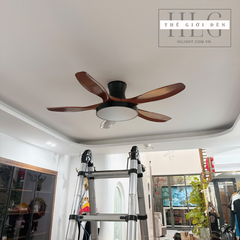 Quạt Trần Đèn Thân Ngắn Siêu Mát QT239