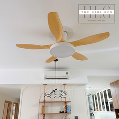 Quạt Trần Đèn Dành Cho Nhà Thấp QT238