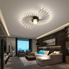 Đèn ốp trần hình chữ S nghệ thuật D0100F