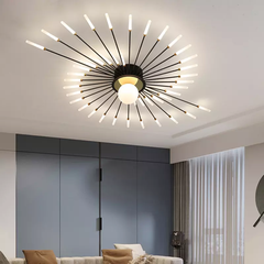 Đèn ốp trần hình chữ S nghệ thuật D0100F