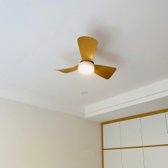 Quạt Trần Cánh Ngắn QT273