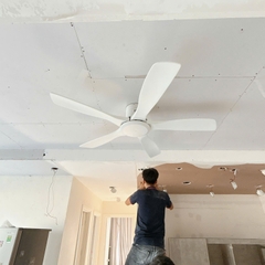 Quạt Trần 5 Cánh Gỗ Tự Nhiên QT114