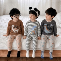 SET 3 BỘ DÀI TAY KHỦNG LONG KẺ XÁM NÂU CHO BÉ