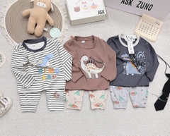 SET 3 BỘ DÀI TAY KHỦNG LONG KẺ XÁM NÂU CHO BÉ