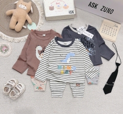 SET 3 BỘ DÀI TAY KHỦNG LONG KẺ XÁM NÂU CHO BÉ