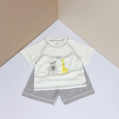 JINRO - BỘ CỘC TAY MODAL PETIT BÉ TRAI