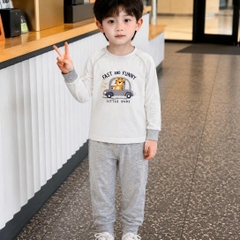 BỘ JINRO DÀI TAY RAGLAN CHẤT MODAL PETIT CHO BÉ
