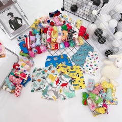 SET 10 QUẦN BOZIP ĐÙI
