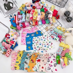 SET 10 QUẦN BOZIP ĐÙI