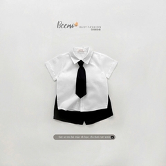 SET SƠ MI BEEMO TẶNG CAVAT