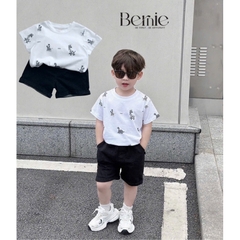BỘ CỘC TAY IN TRÀN ZEBRA