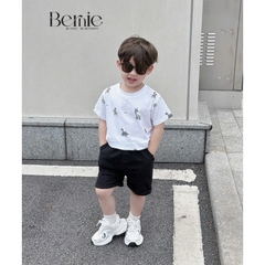 BỘ CỘC TAY IN TRÀN ZEBRA