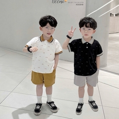 SET BỘ POLO IN TRÀN Ô TÔ