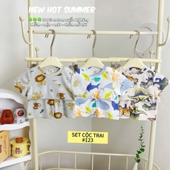 SET 3 BỘ CỘC TAY XUẤT DƯ