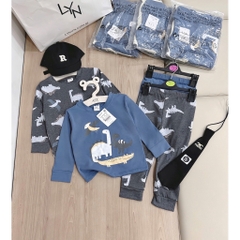 SET 2 BỘ DÀI TAY KHỦNG LONG XÁM XANH